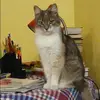 Отзыв от Олеся Дорохова